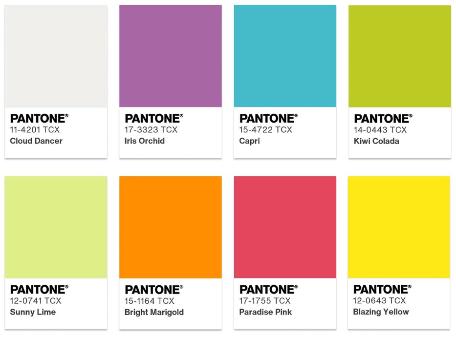 Kolory Pantone 2026: Cloud Dancer tnonalność tropikalna